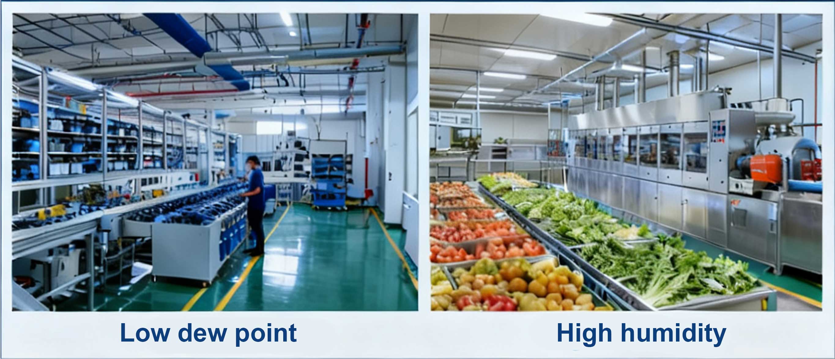 Low-dew-point-High-humidity_01