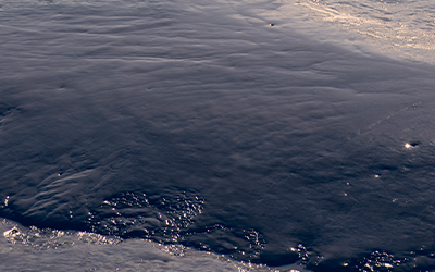 Sludge Drying